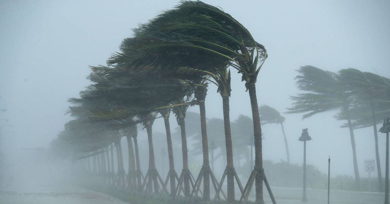 California Fırtına California Fırtına
