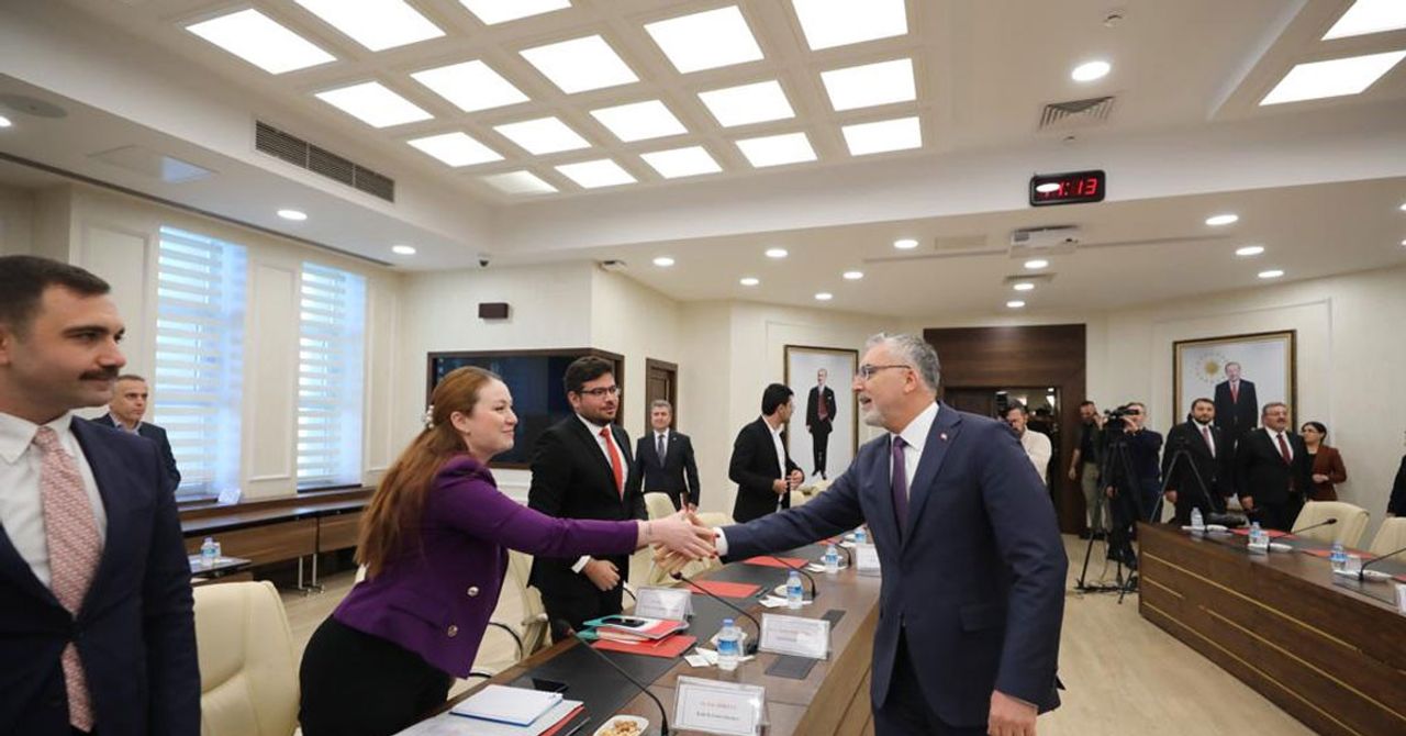 Çalışma ve Sosyal Güvenlik Bakanlığı, 2024-2028 dönemi ‘Ulusal İstihdam Stratejisi Çalışma ve Sosyal Güvenlik Bakanlığı, 2024-2028 dönemi ‘Ulusal İstihdam Stratejisi