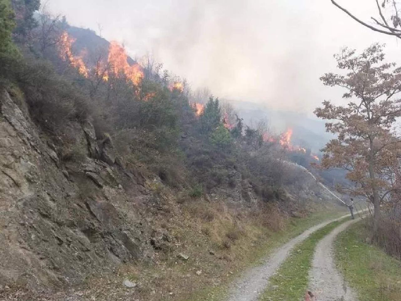Çanakkale, İzmir, Bursa ve Bilecik orman yangını Çanakkale, İzmir, Bursa ve Bilecik orman yangını
