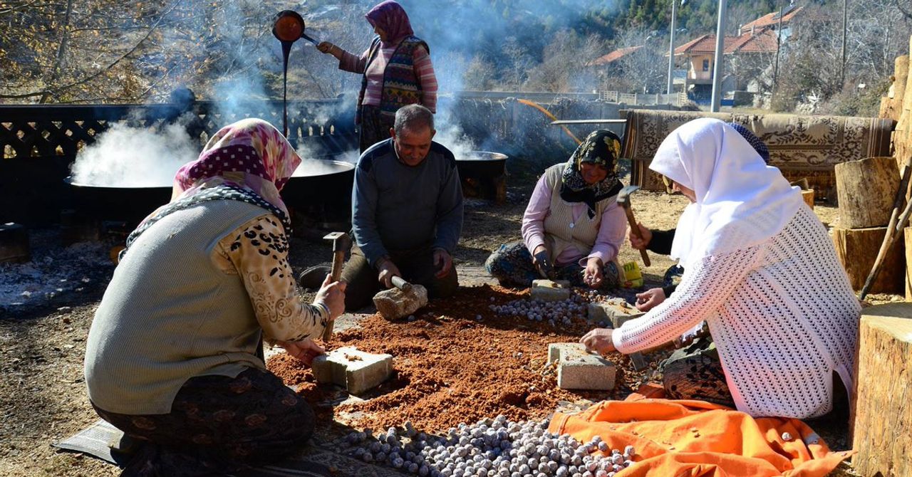 Canan Karatay kabızlık için mucize besini açıkladı Canan Karatay kabızlık için mucize besini açıkladı