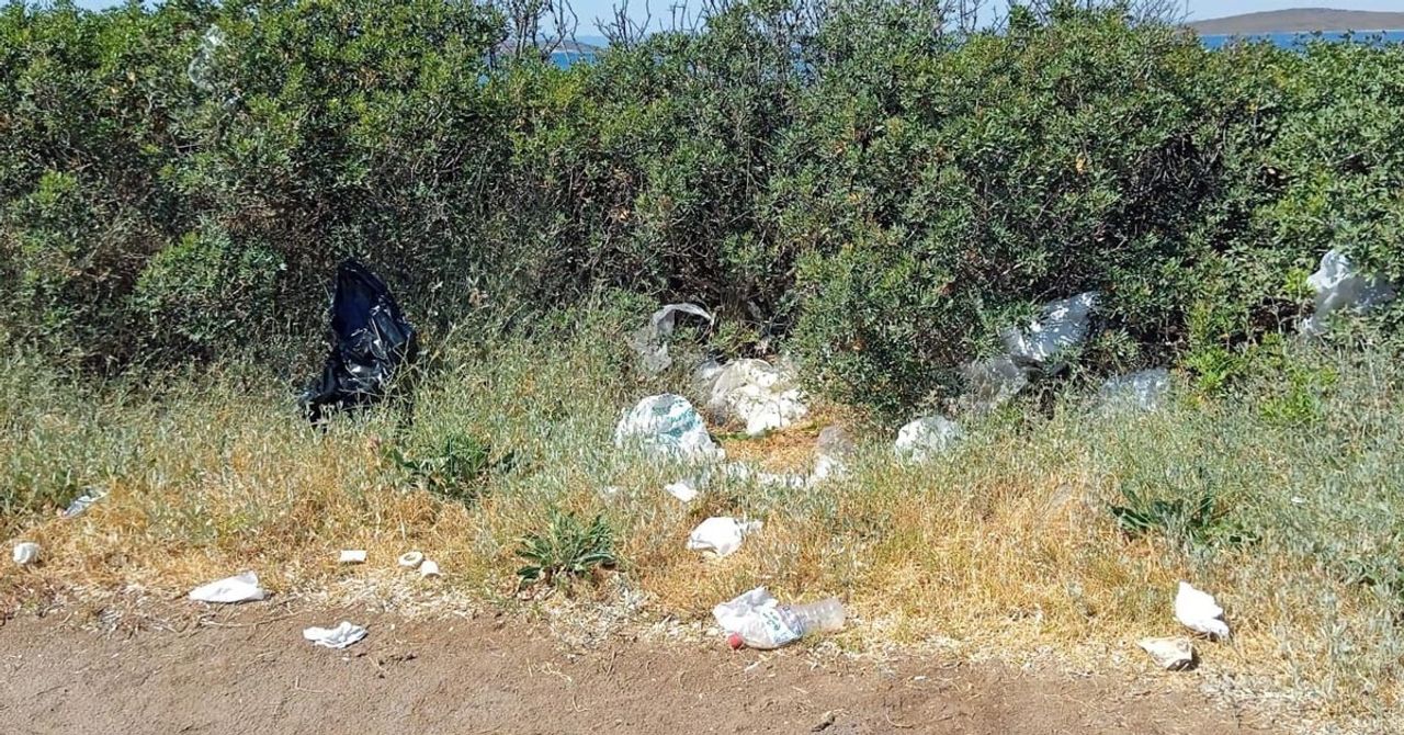 Çevre kirliliğine karşı mücadele Çevre kirliliğine karşı mücadele