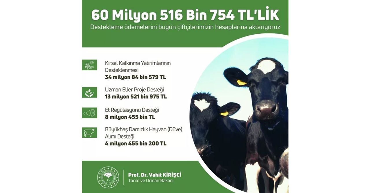 Çiftçi destek ödemeleri Çiftçi destek ödemeleri