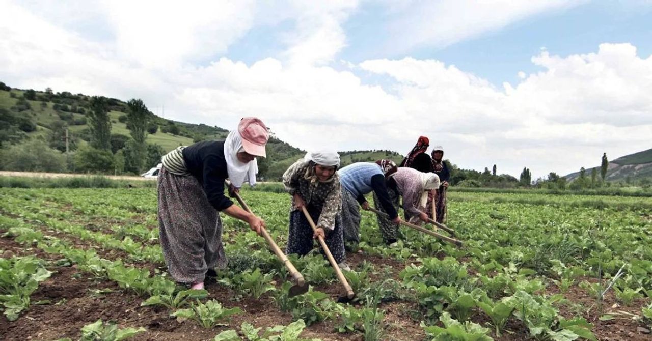 Çiftçi Kayıt Sistemi Çiftçi Kayıt Sistemi