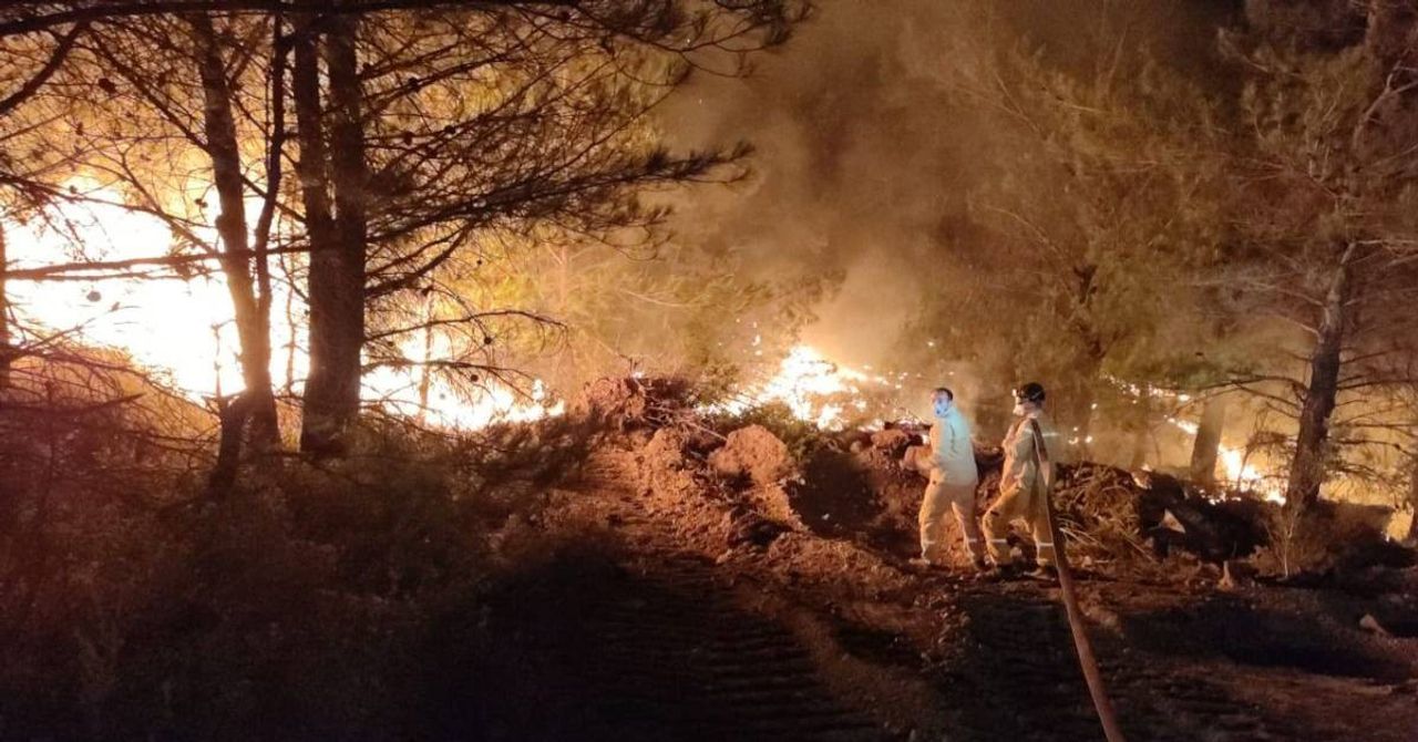 Datça orman yangını Datça orman yangını