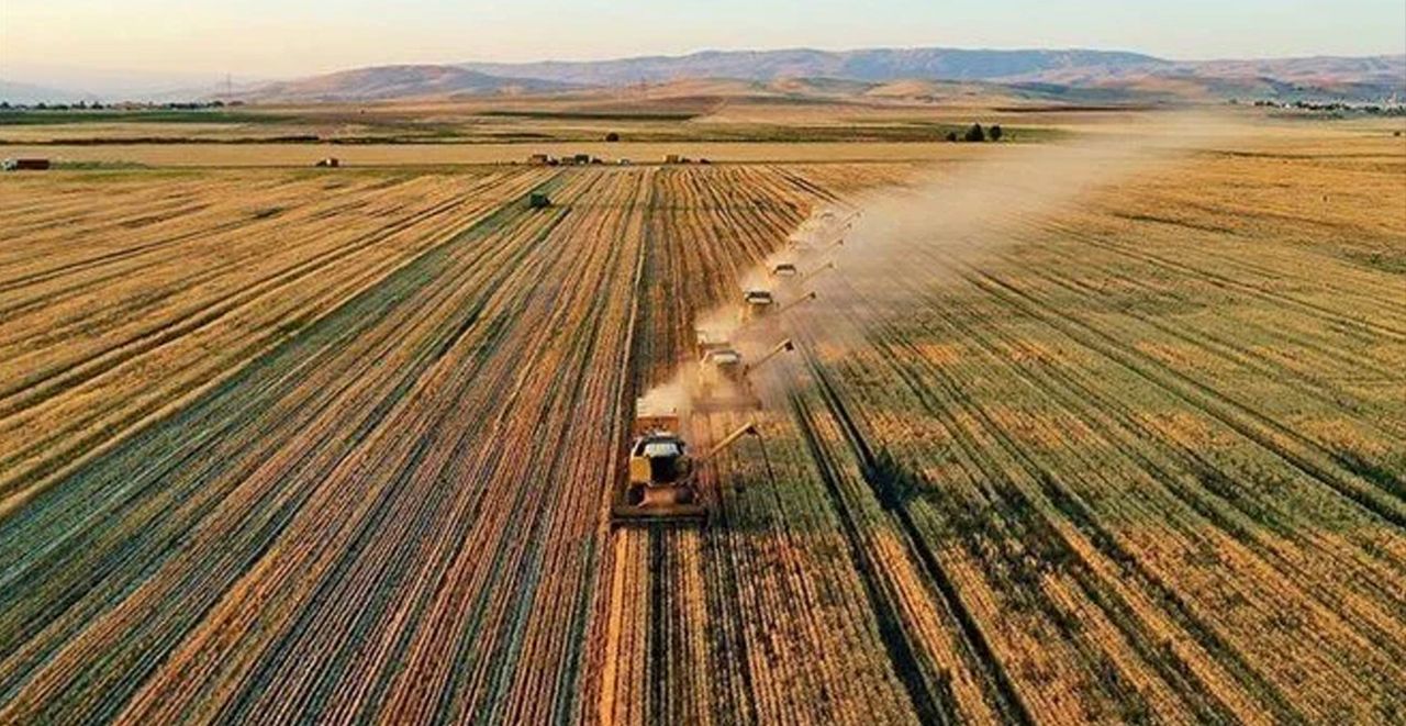 Deprem bölgesindeki çiftçilere destek ödeneği Deprem bölgesindeki çiftçilere destek ödeneği