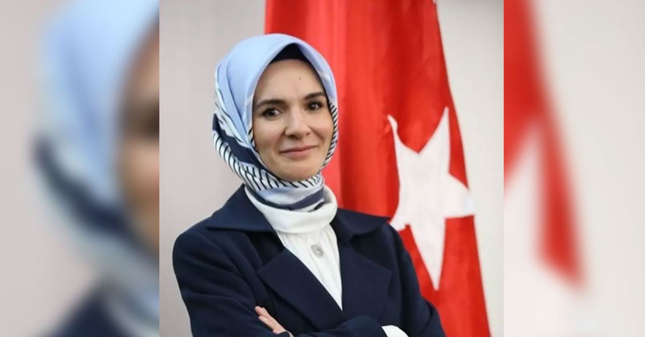 Doğal gaz devlet desteği Doğal gaz devlet desteği