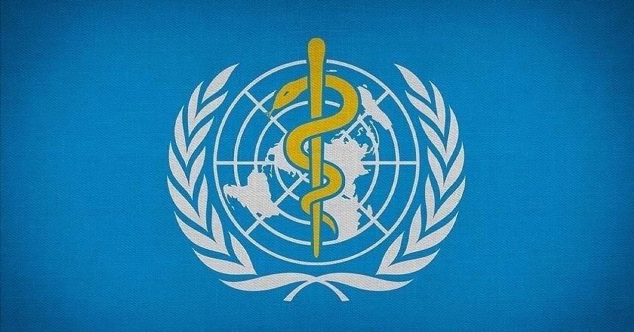Dünya Sağlık Örgütü (DSÖ), yeni bir tehlikenin kapıda olduğunu belitti. Buna göre, dünya genelinde hepatit B ve C enfeksiyonları nedeniyle her gün 3 bin 500 kişinin yaşamını yitirdiğini bilgisini paylaştı. Dünya Sağlık Örgütü (DSÖ), yeni bir tehlikenin kapıda olduğunu belitti. Buna göre, dünya genelinde hepatit B ve C enfeksiyonları nedeniyle her gün 3 bin 500 kişinin yaşamını yitirdiğini bilgisini paylaştı.