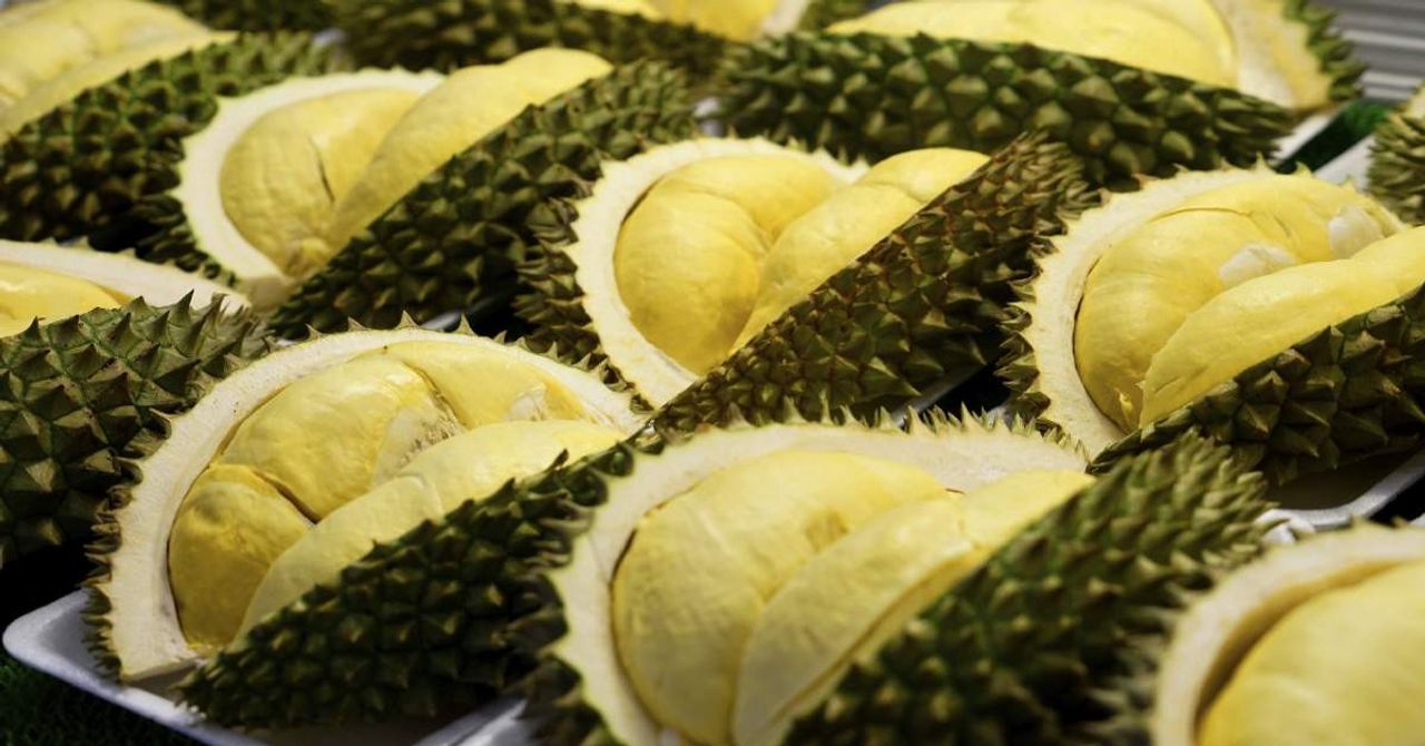 Durian Meyvesi Durian Meyvesi
