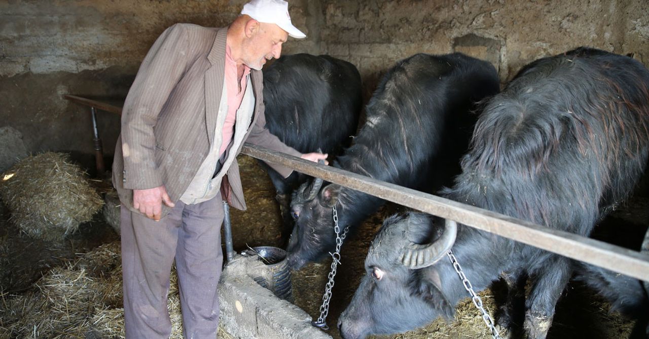 Edirne Edirne