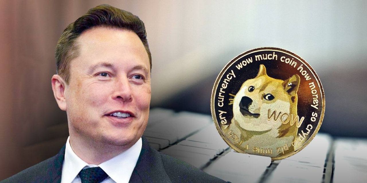 ELON Coin Nedir ELON Coin Nedir