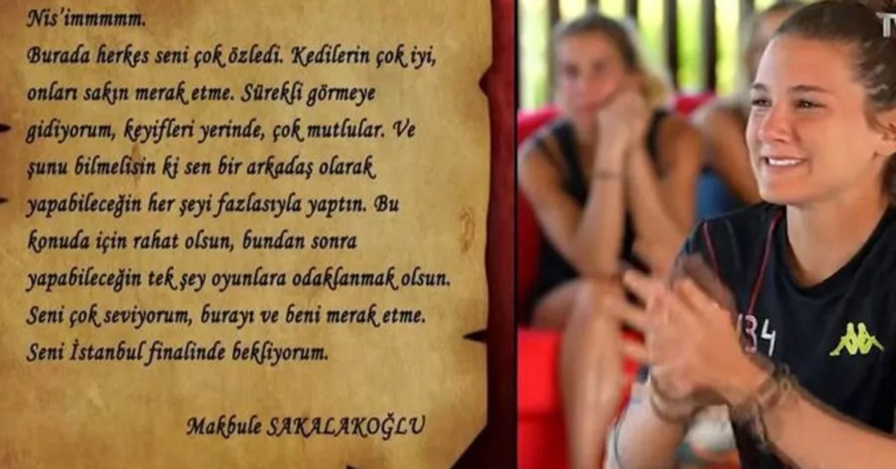 survivor nisa survivor nisa