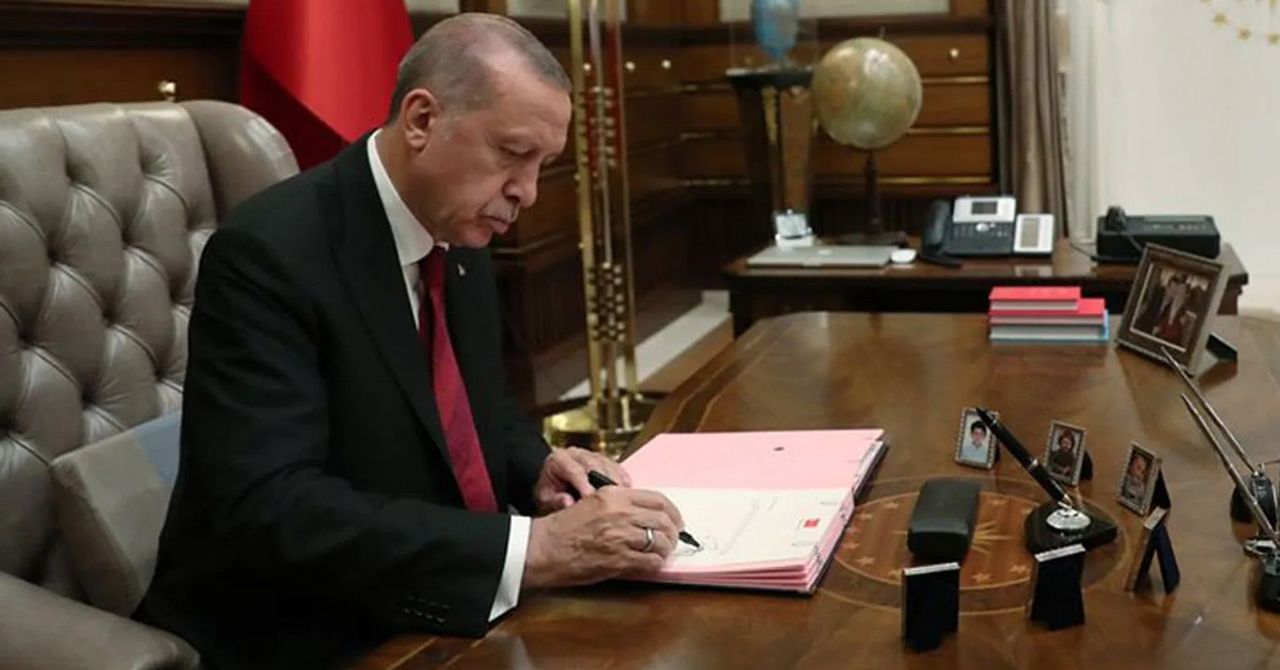erdoğan erdoğan