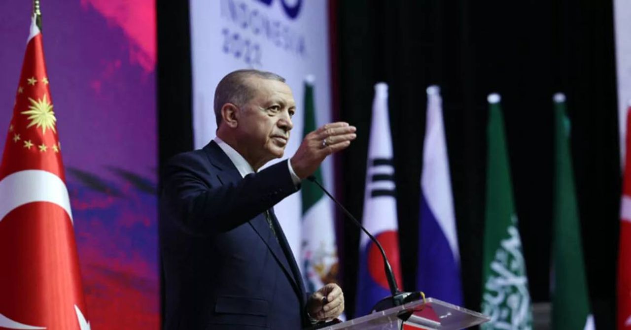Erdoğan Bali Dönüşü-1 Erdoğan Bali Dönüşü-1