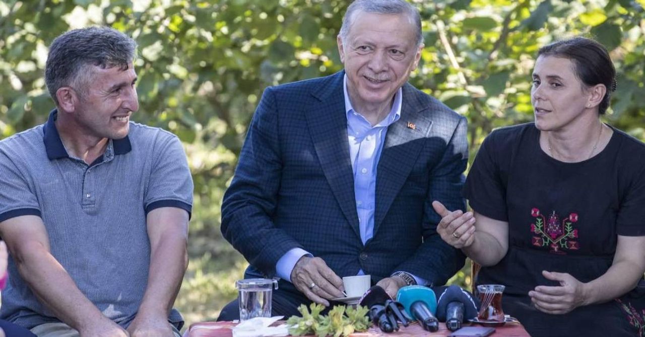 Erdoğan fındık fiyatı Erdoğan fındık fiyatı