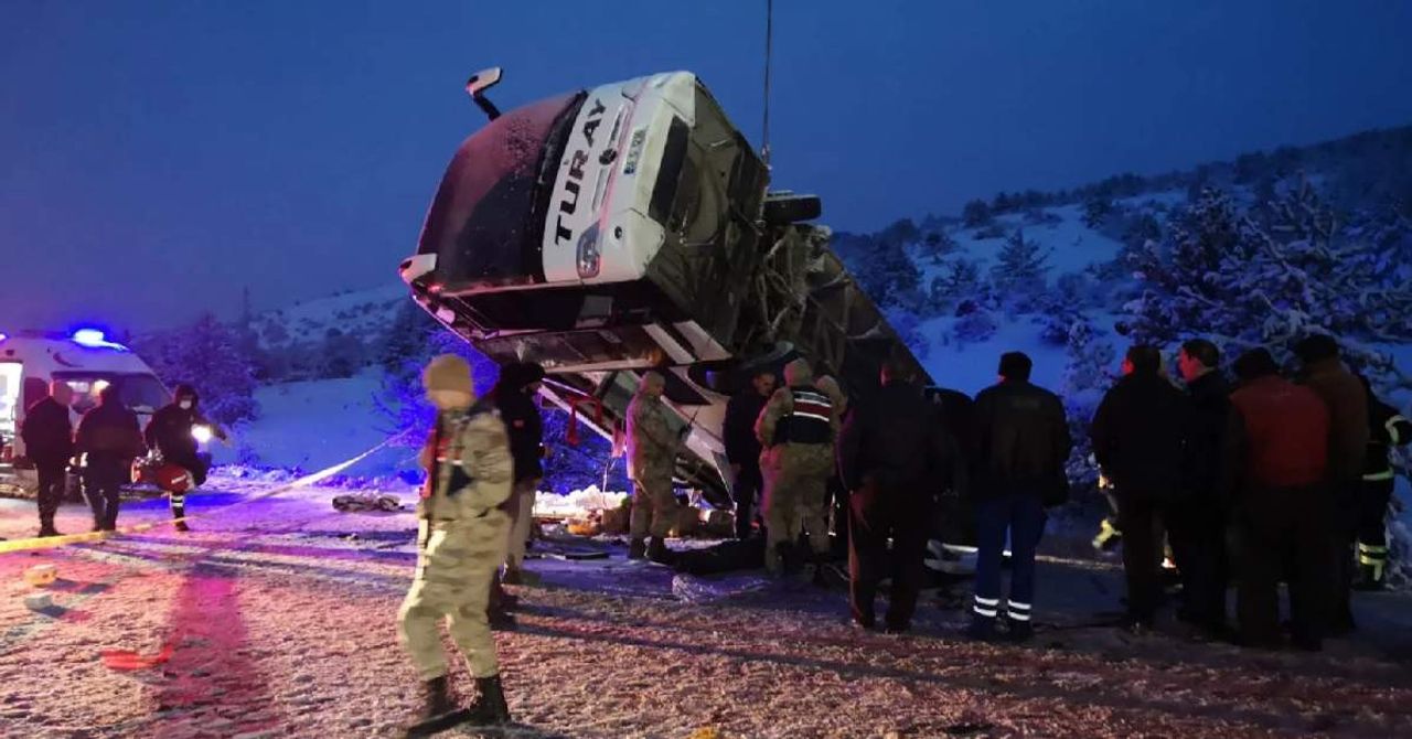 Erzincan ve Yozgat Kaz Erzincan ve Yozgat Kaz