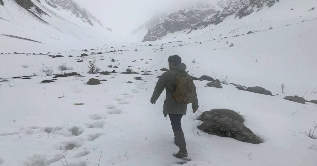 Erzurum Kar Yağışı Erzurum Kar Yağışı