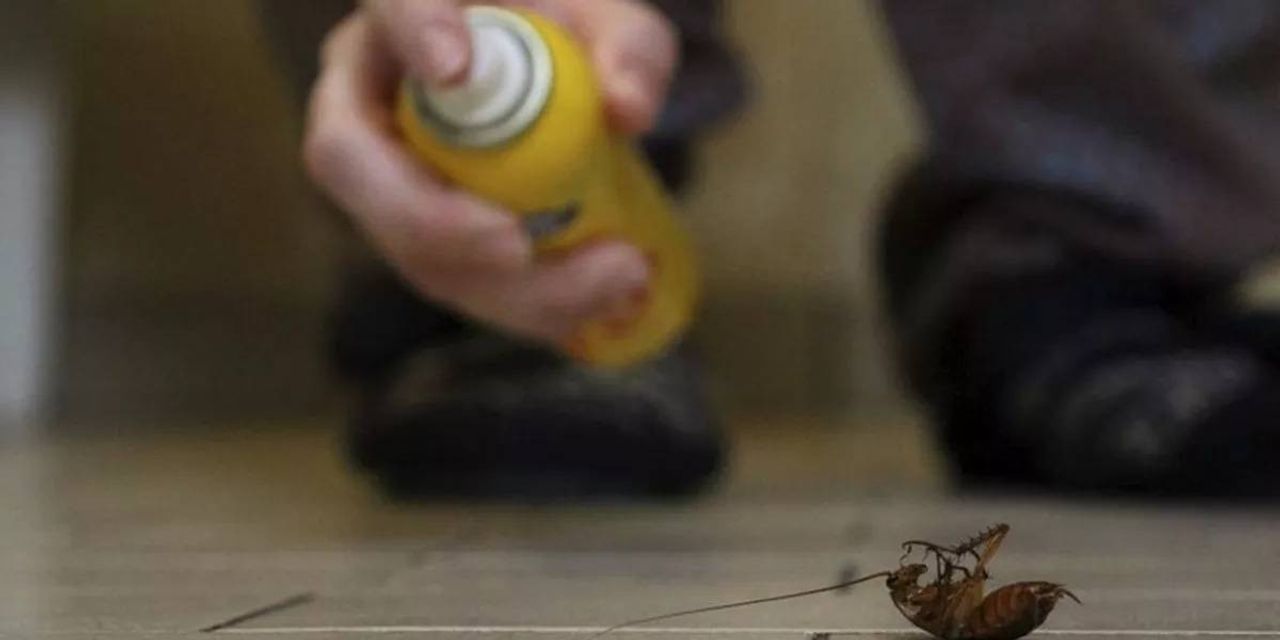 Ev Yapımı Böcek İlacı Ev Yapımı Böcek İlacı