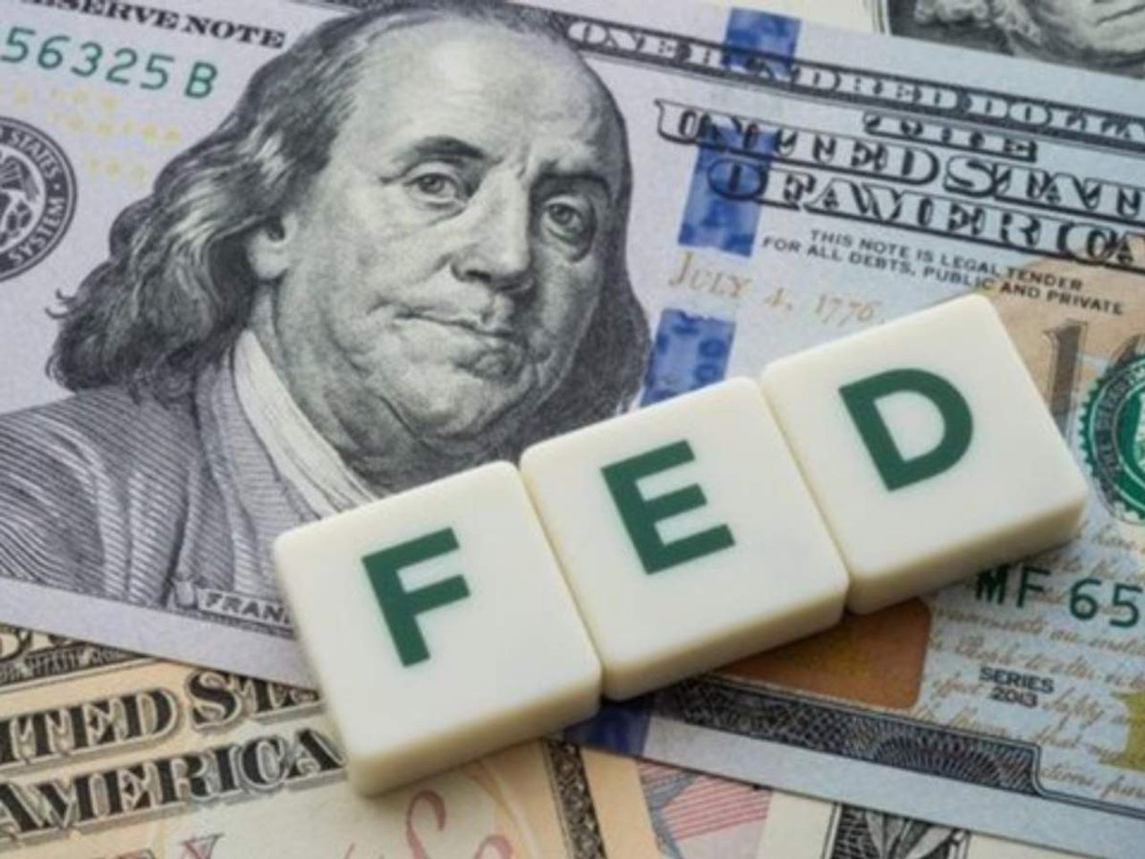 fed fed