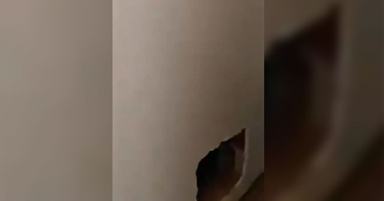FETÖ’den aranan firari emniyet müdürü, Ş.Ü.(53) Kayseri’de kaldığı hücre evinde gizli bir geçit yaptı. Tam kaçacağı sırada polis ekipleri tarafından yakalandı. FETÖ’den aranan firari emniyet müdürü, Ş.Ü.(53) Kayseri’de kaldığı hücre evinde gizli bir geçit yaptı. Tam kaçacağı sırada polis ekipleri tarafından yakalandı.