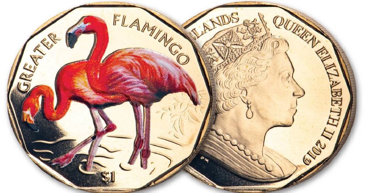 FLM coin FLM coin