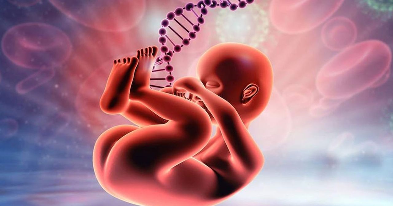 Genetik kalıtım Genetik kalıtım