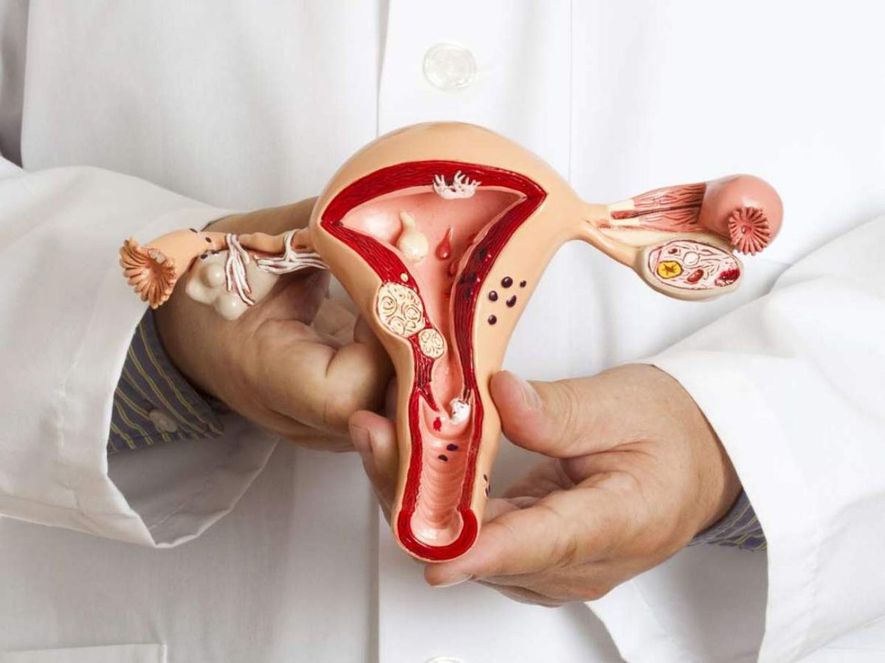 genital enfeksiyon genital enfeksiyon
