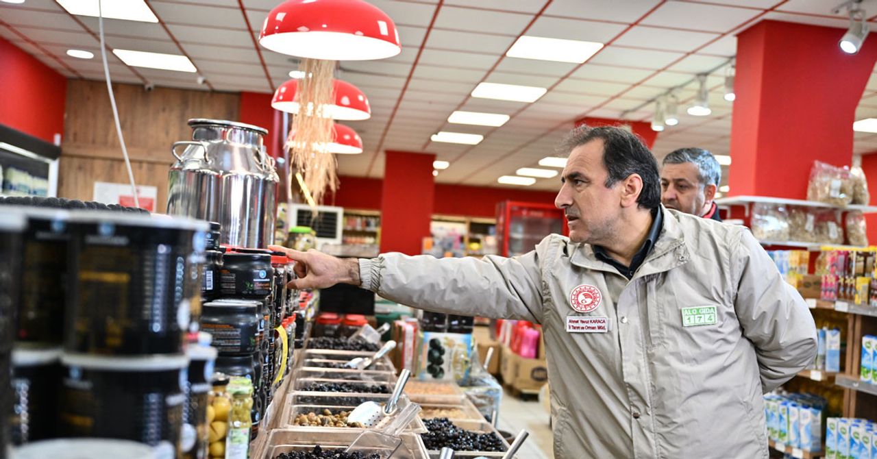 Gıda Denetimi Gıda Denetimi
