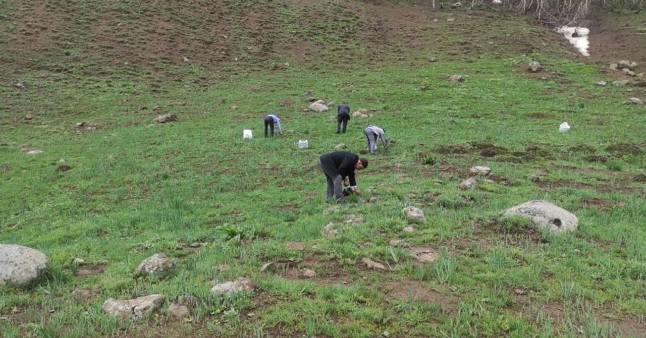 Güneydoğu Huzura Kavuştu! Güneydoğu Huzura Kavuştu!