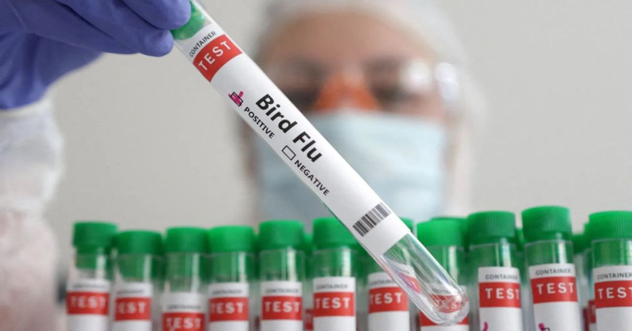 H5N2 nedir, belirtileri nelerdir? Kuş gribi nasıl bulaşır ve ne zaman ortaya çıktı? H5N2 nedir, belirtileri nelerdir? Kuş gribi nasıl bulaşır ve ne zaman ortaya çıktı?