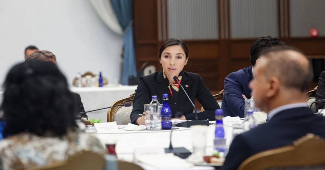 Hafize Gaye Erkan Hafize Gaye Erkan