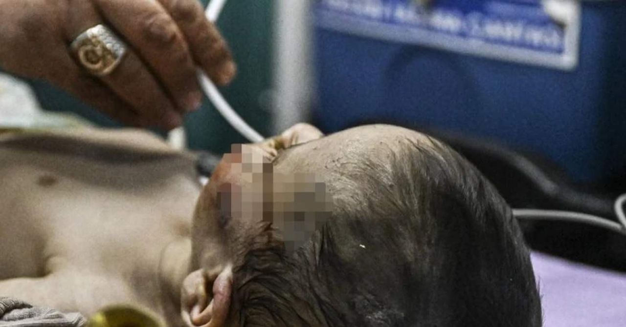 Hamza Bebek Deprem Hamza Bebek Deprem