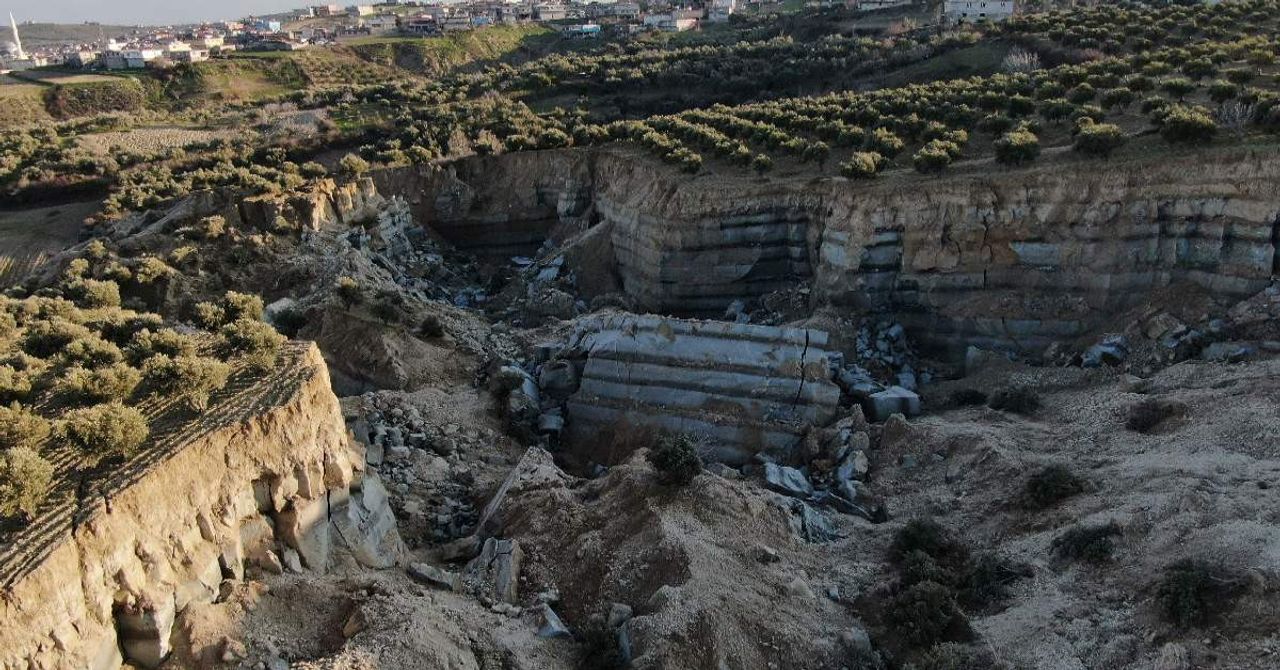 Hatay Deprem Zeytin Tarlası-1 Hatay Deprem Zeytin Tarlası-1