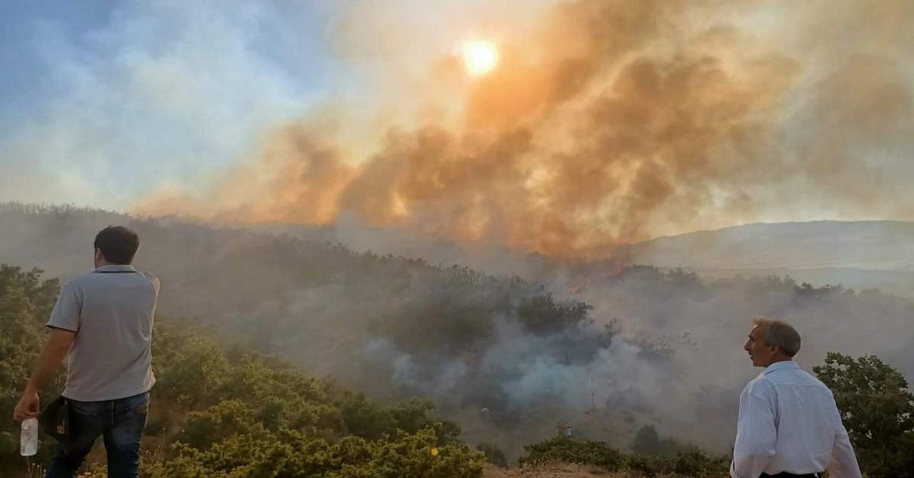 Hatay Muğla Orman yangın Hatay Muğla Orman yangın