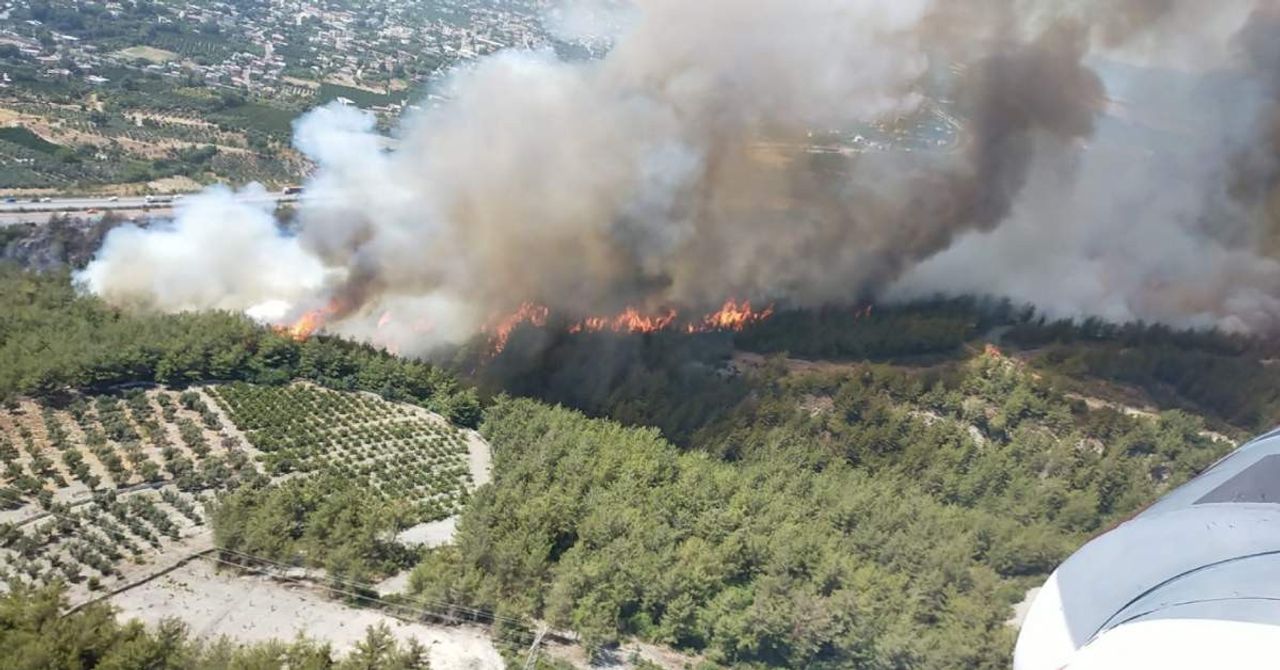 Hatay Valiliği Ormanlara Girişi Yasakladı Hatay Valiliği Ormanlara Girişi Yasakladı