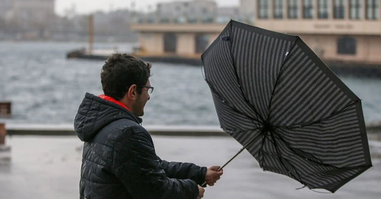 hava hava