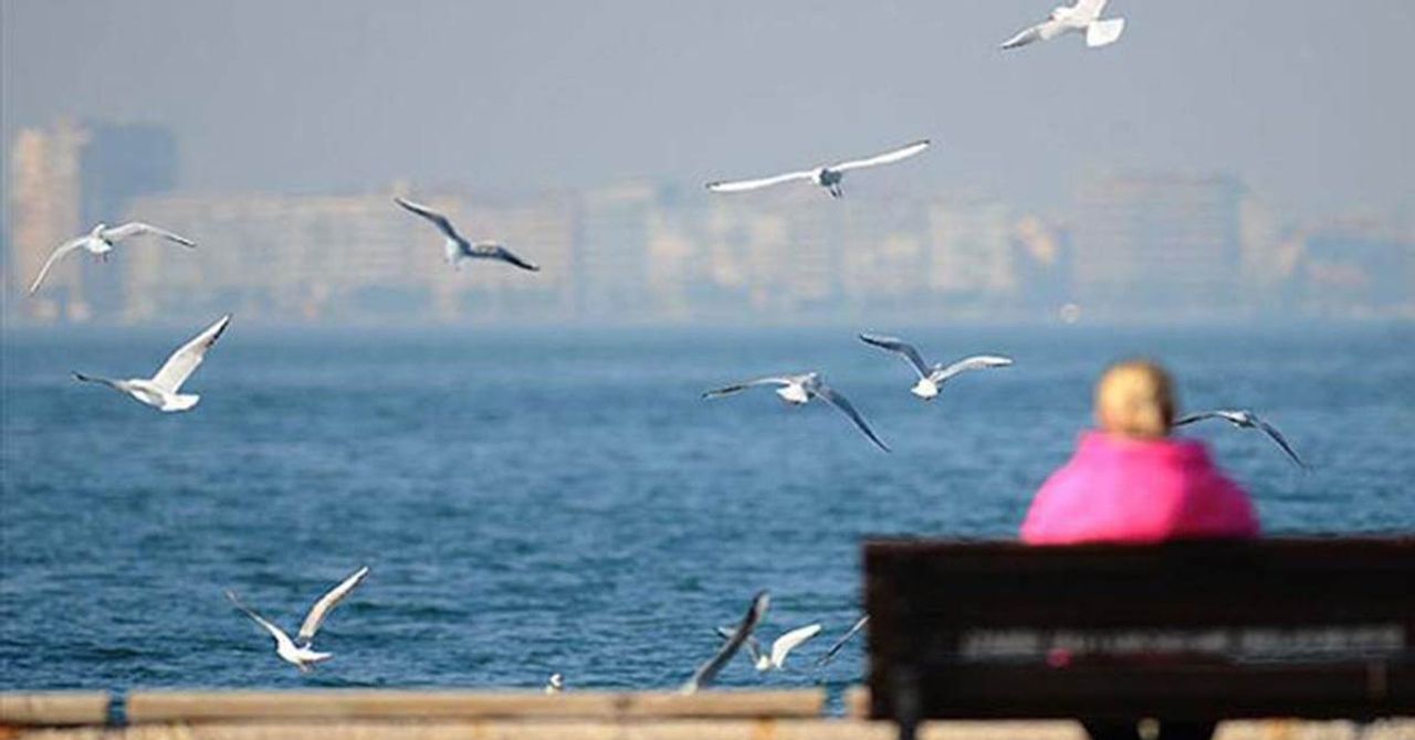 Hava durumu Hava durumu
