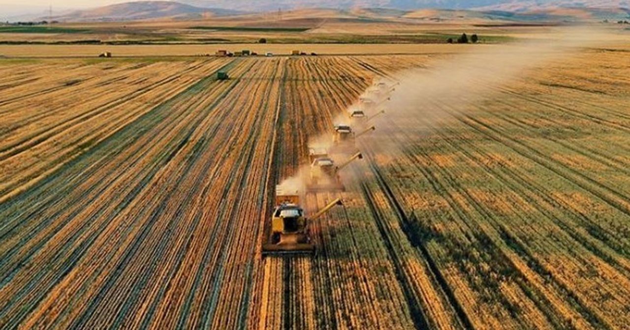 Hollanda tarımda bizden daha mı iyi? Türkiye’nin Hollanda’dan öğrenmesi gerekenler Hollanda tarımda bizden daha mı iyi? Türkiye’nin Hollanda’dan öğrenmesi gerekenler