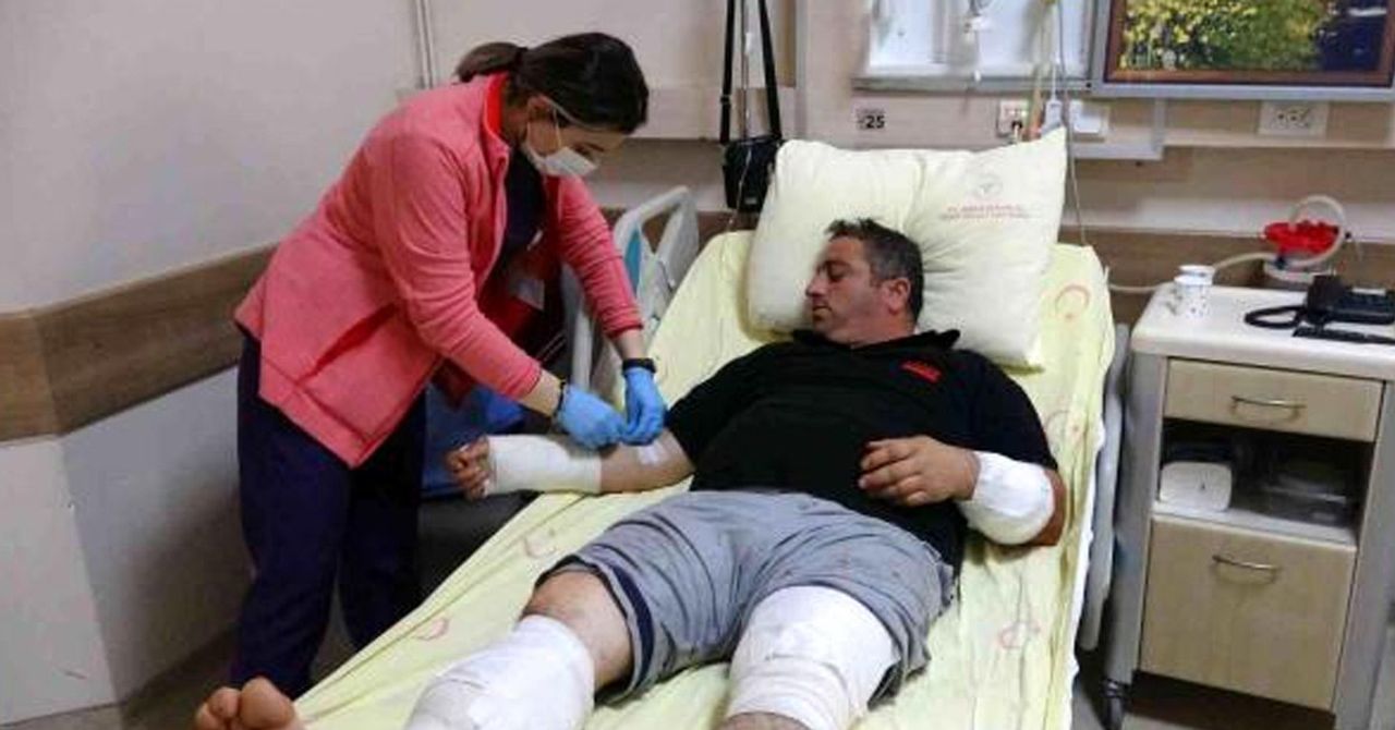 Ayıyla güreşen adam Ayıyla güreşen adam