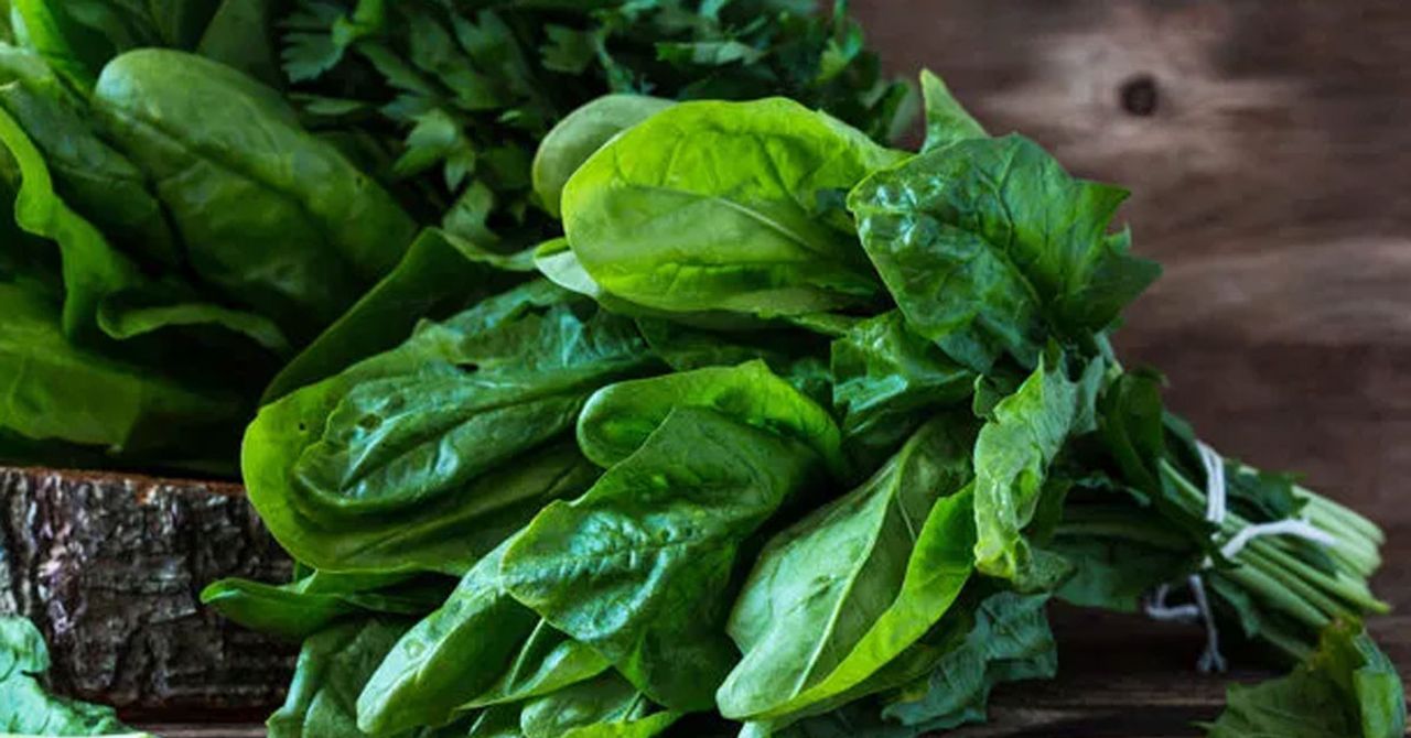 Ispanakta salmonella paniği Ispanakta salmonella paniği
