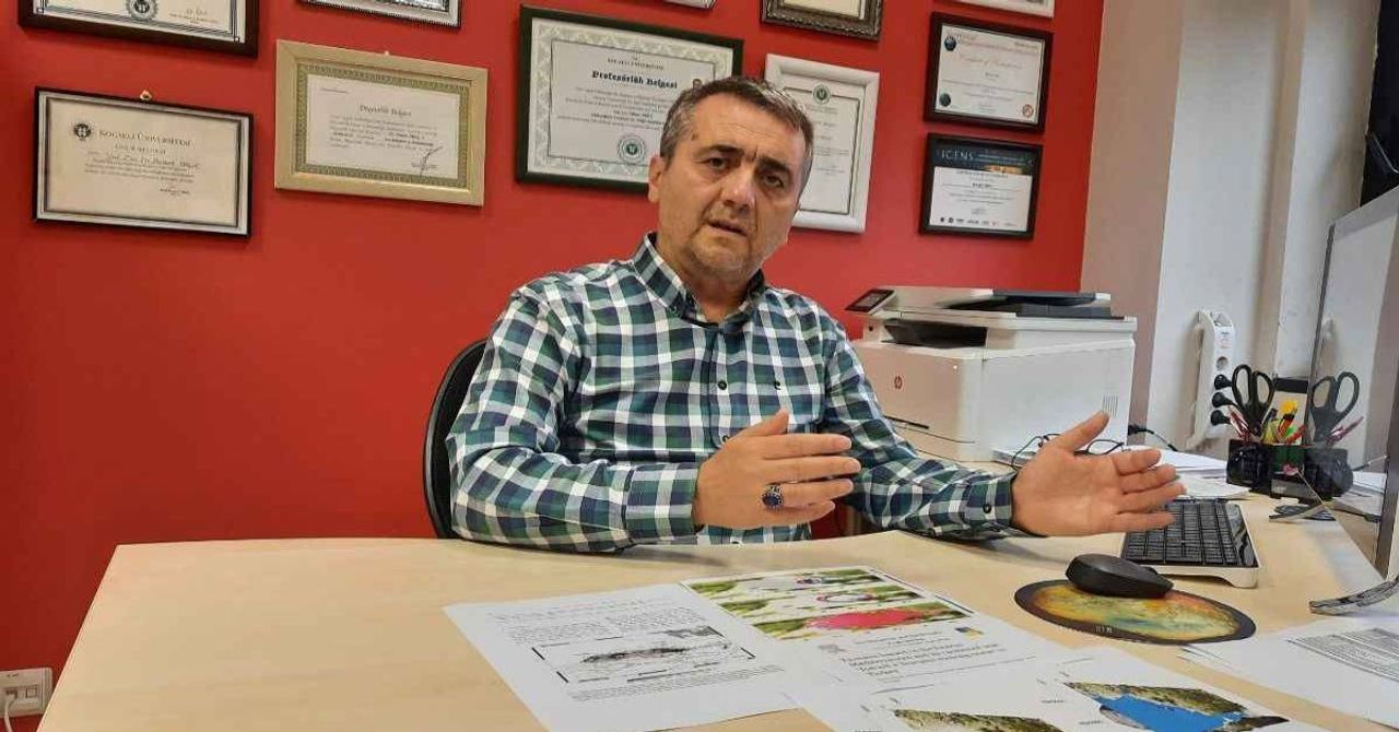 İstanbul depremi İstanbul depremi