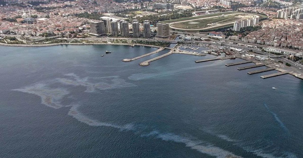 İstanbul mazot tabakası İstanbul mazot tabakası