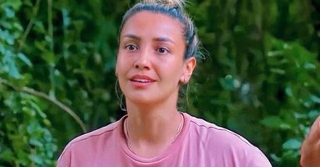 survivor evrim
