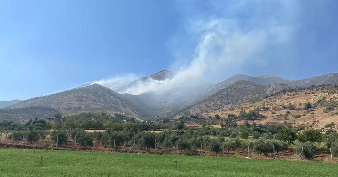 Kahramanmaraş orman yangını Kahramanmaraş orman yangını