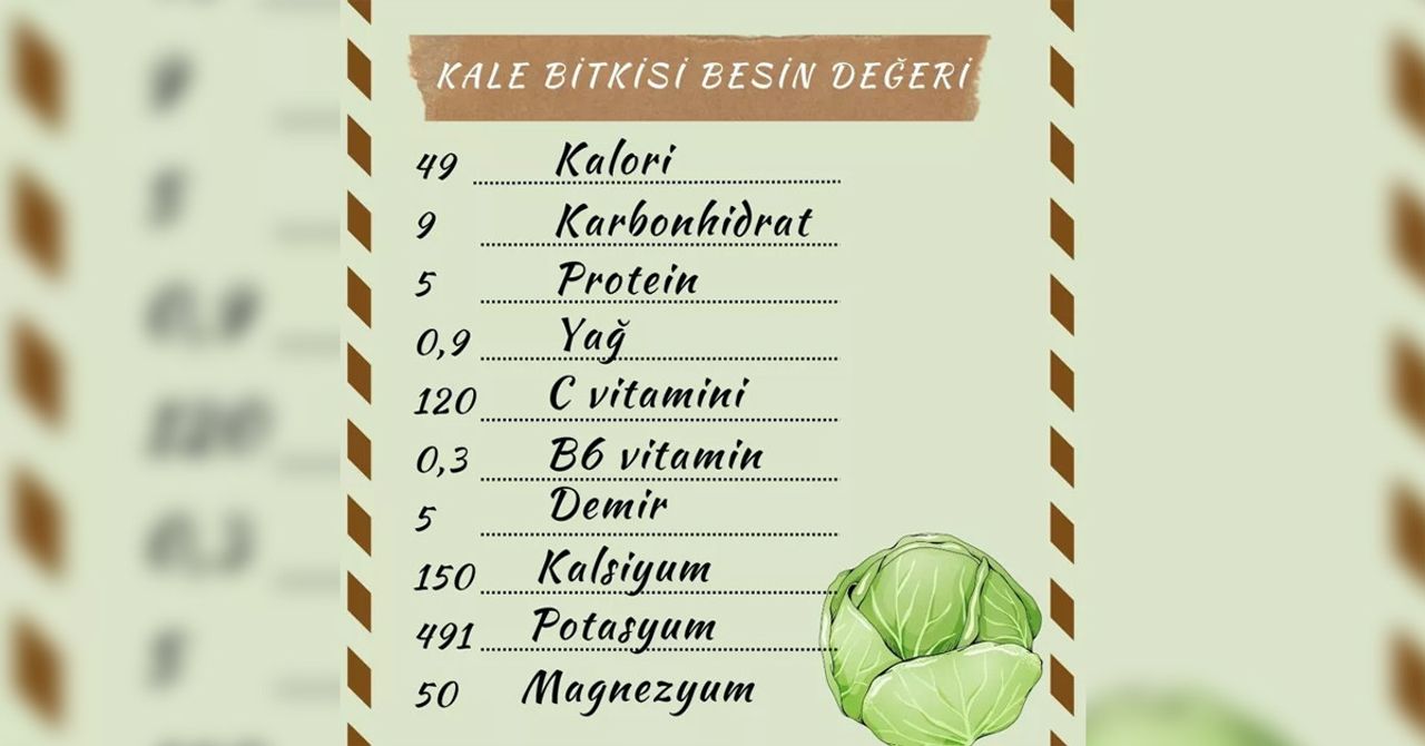 Kala bitkisinin besin değerleri Kala bitkisinin besin değerleri