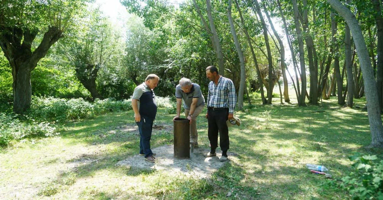 Kastamonu petrol