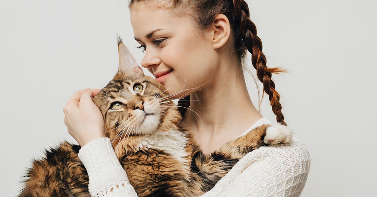 kedi ve insan etkisi kedi ve insan etkisi