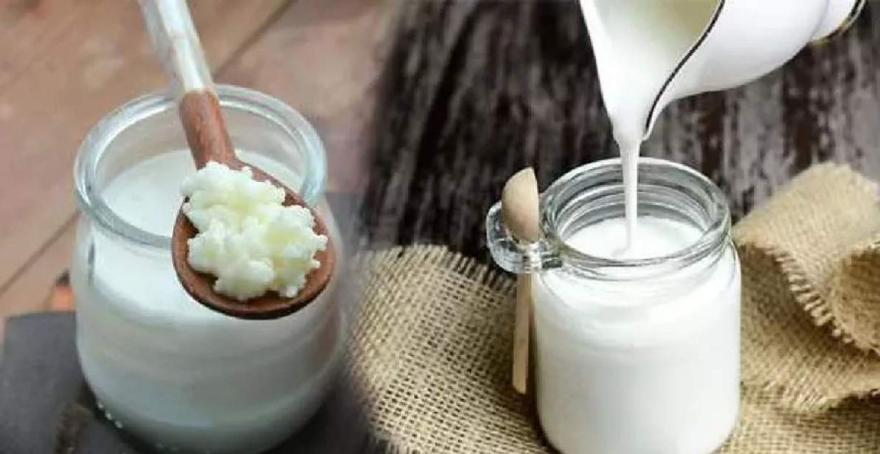 kefir kefir