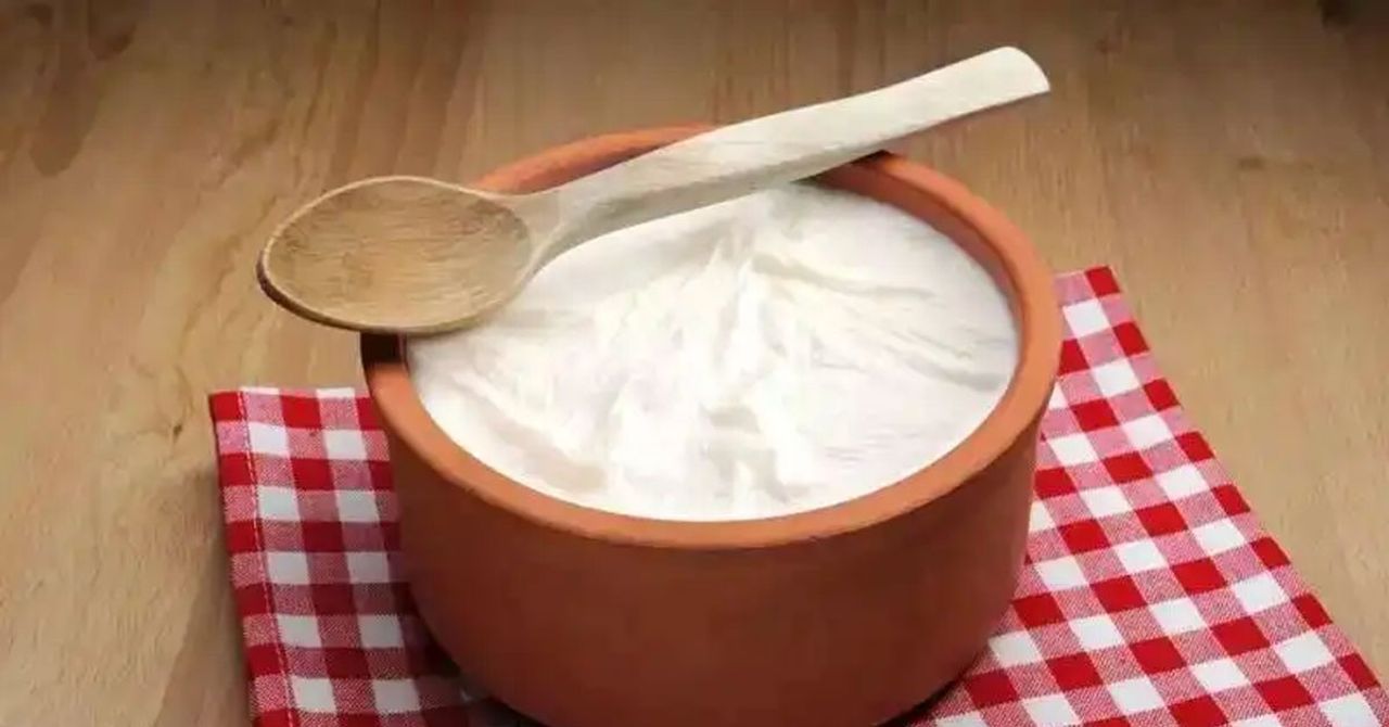 Kişniş yoğurt karışımının faydaları Kişniş yoğurt karışımının faydaları