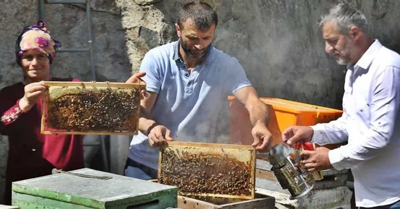 Kooperatif sayısı arttı Kooperatif sayısı arttı