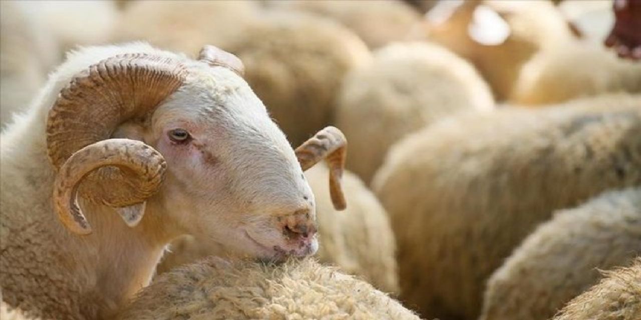Kurban Bayramı tarihleri Kurban Bayramı tarihleri